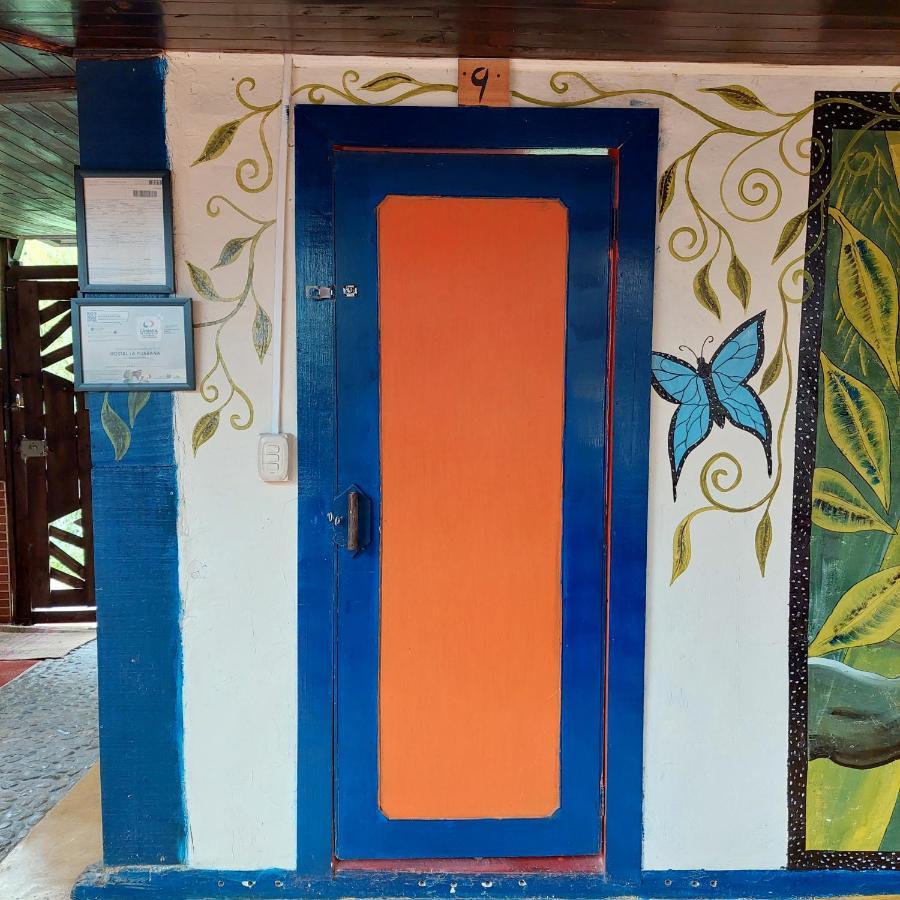Hostal La Pijarana Salento Exterior photo