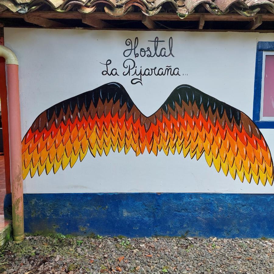 Hostal La Pijarana Salento Exterior photo