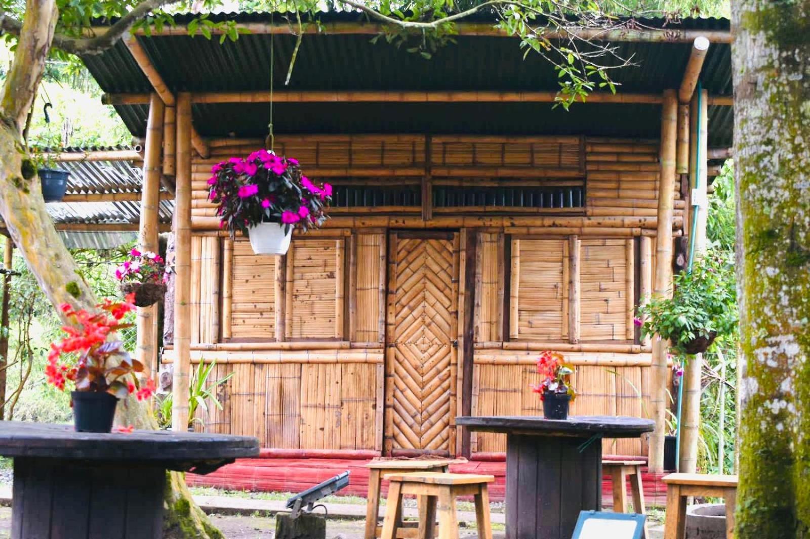 Hostal La Pijarana Salento Exterior photo